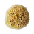 100% real sea wool bath and body sponge 100% real sea wool bath and body sponge