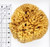 100% real sea wool form bath and body sponge 7-8" 100% real sea wool form bath and body sponge 7-8"