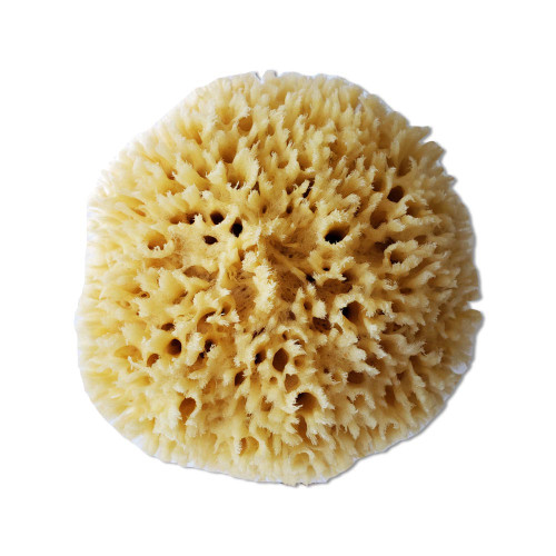 Dynamic 00006 Natural Sea Sponge 8 - 9 (20-23cm)