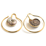 1x Brass Ear Weight with Fossil Ammonite-1