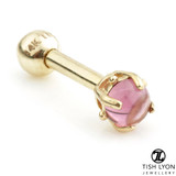 TL - 14ct Gold Rhodolite Prong Microbar