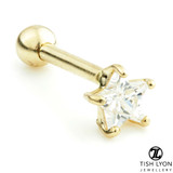 TL - 14ct Gold Star Gem Microbar