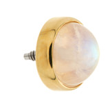 TL - 14ct Gold Internal Moonstone Cabochon Round Attachment