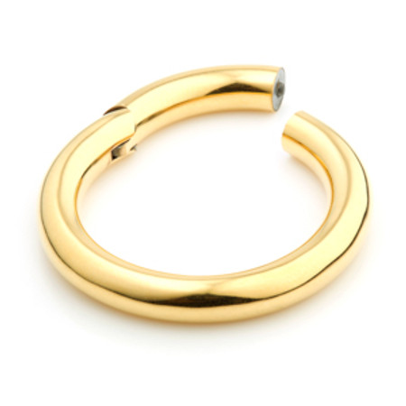 24ct Gold PVD Steel Hinge Segment Ring  - 3.2mm