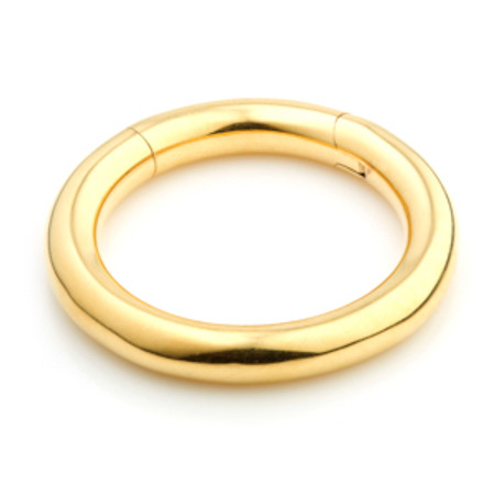 24ct Gold PVD Steel Hinge Segment Ring  - 4mm