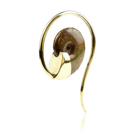Mandala Jewellery - Fossil Spiral Brass Ear Weight (Individual)