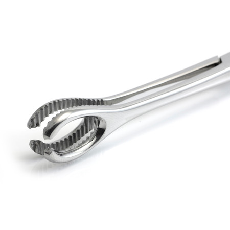 Sponge Forceps with Slot