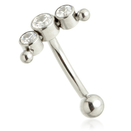 Ti Internal Jewelled Bezel Crescent Rook/Eyebrow Bar