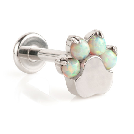 Ti Internal Labret with Opal Paw Attachment