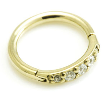 Zircon Gold Steel Multi Gem Hinged Ring