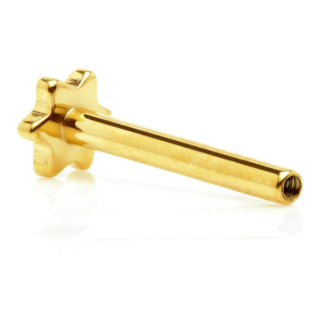 Zircon Gold Ti Internal Labret Stem with Star Base-1.2-5