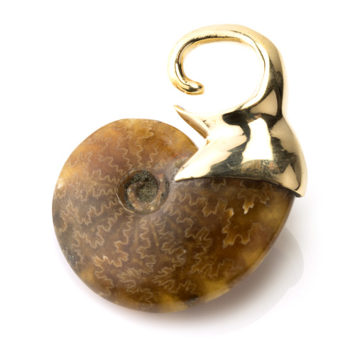 1x Brass Ammonite Ear Weight-1