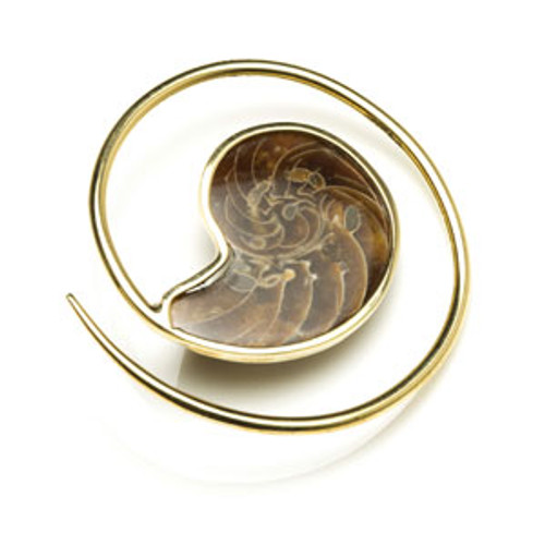 1x Brass Ammonite Ear Weight Spiral