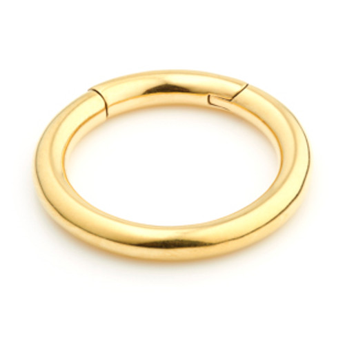 24K Gold PVD Steel Hinge Segment Ring