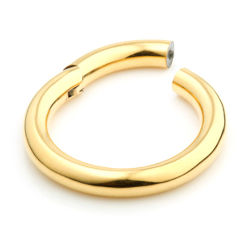 24ct Gold PVD Steel Hinge Segment Ring  - 3.2mm