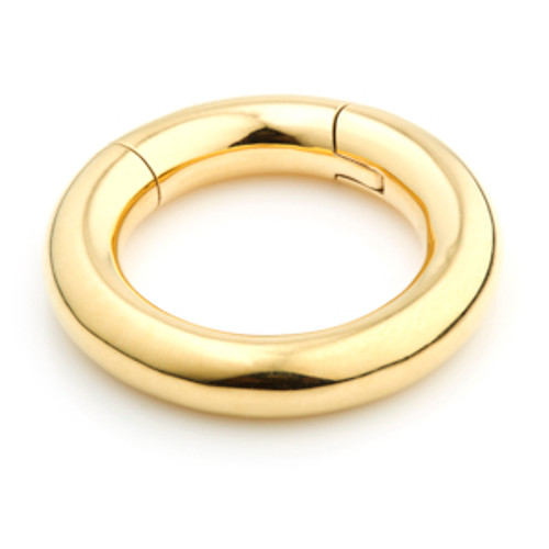 24ct Gold PVD Steel Hinge Segment Ring  - 5mm