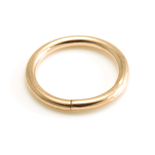 Rose Gold Steel Micro Segment Ring