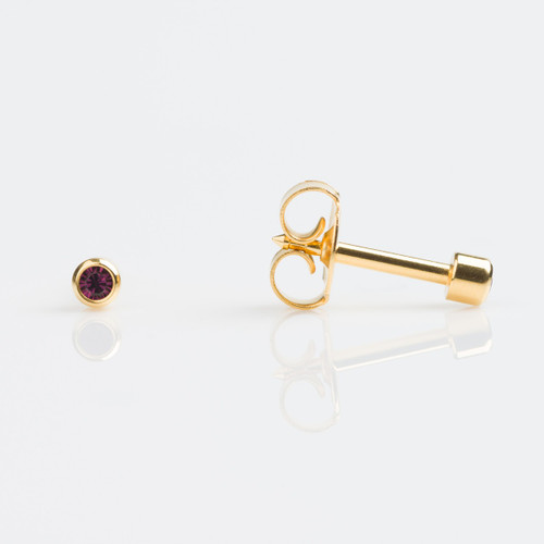 Studex Mini Gold Plated Bezel February Studs - Pack of 12