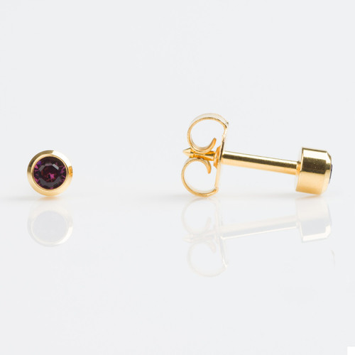 Studex Regular Gold Plated Bezel February Studs - Pack of 12