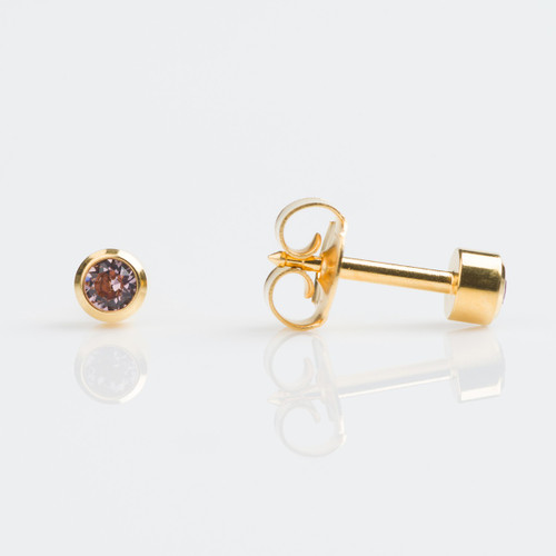 Studex Regular Gold Plated Bezel June Studs - Pack of 12