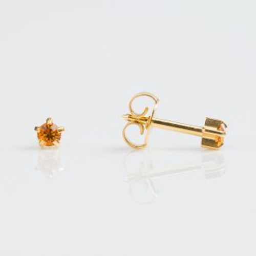 Studex Regular Gold Plated Tiffany November Studs - Pack of 12