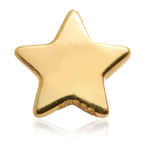 TL - 14ct Internal Gold Star Attachment