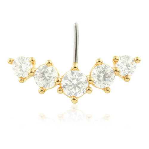 TL - 14ct Threadless Gold Front Facing Prong 5 Gem Pin Attachment TL - 14ct Threadless Gold Front Facing Prong 5 Gem Pin Attachment