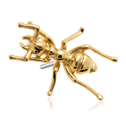 TL Agony Ant - 14ct Gold Threadless Attachment