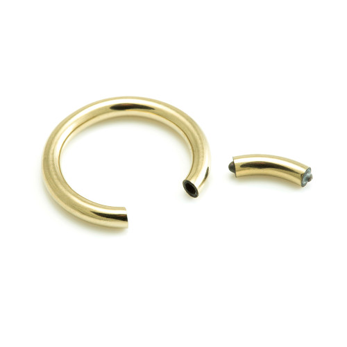 Zircon Gold PVD Ti Segment Ring