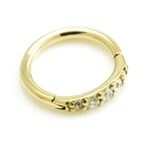 Zircon Gold Ti Half Pavé Gems Hinged Micro Ring