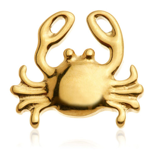 Zircon Gold Ti Internal Crab Attachment