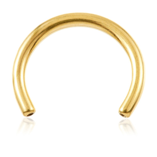 Zircon Gold Ti Threadless Circular Barbell Stem