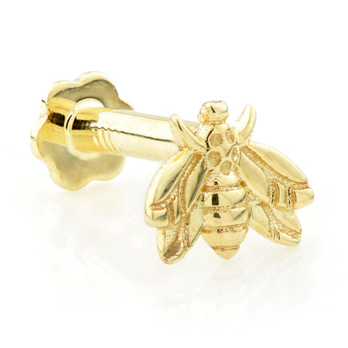 TL - Gold Bee Internal Labret 1.2mm TL - Gold Bee Internal Labret 1.2mm