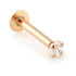 14ct Gold Micro Labret with Internal Screw Prong Set Gem