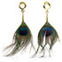 1x Peacock Feather Hanging Stretched Earring