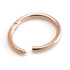 Rose Gold Steel Hinge Micro Segment Ring