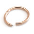 Rose Gold Steel Hinge Micro Segment Ring  -1.0-6