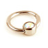 Rose Gold Steel Hinge Segment Gem Ring