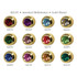 Studex Assorted Gold Bezel Studs - Pack of 12