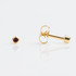 Studex Mini Gold Plated Bezel January Studs - Pack of 12