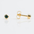 Studex Regular Gold Plated Bezel May Studs - Pack of 12