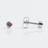 Studex Regular Stainless Alexandrite (June) Bezel Studs - Pack of 12