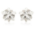 Titanium Prong-Set Jewelled Star Earrings (Pair)