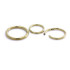 Zircon Gold Steel Hinge Segment Ring