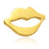 Zircon Gold Ti Internal Lips Disk Attachment