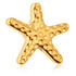 Zircon Gold Ti Internal Starfish Attachment