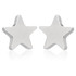 Zircon Gold Titanium Star Stud Earrings (Pair)