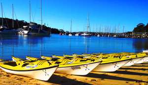 The TEN PACK Rental Pass