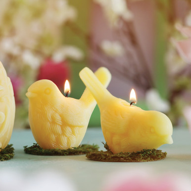 Pure Beeswax Song Bird Candle – Upright | 20 Hour Burn Time