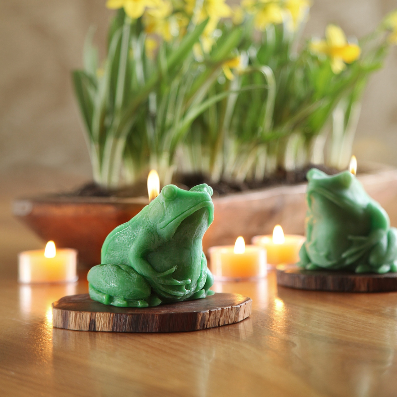 Beeswax Frog Candle | Big Dipper Wax Works